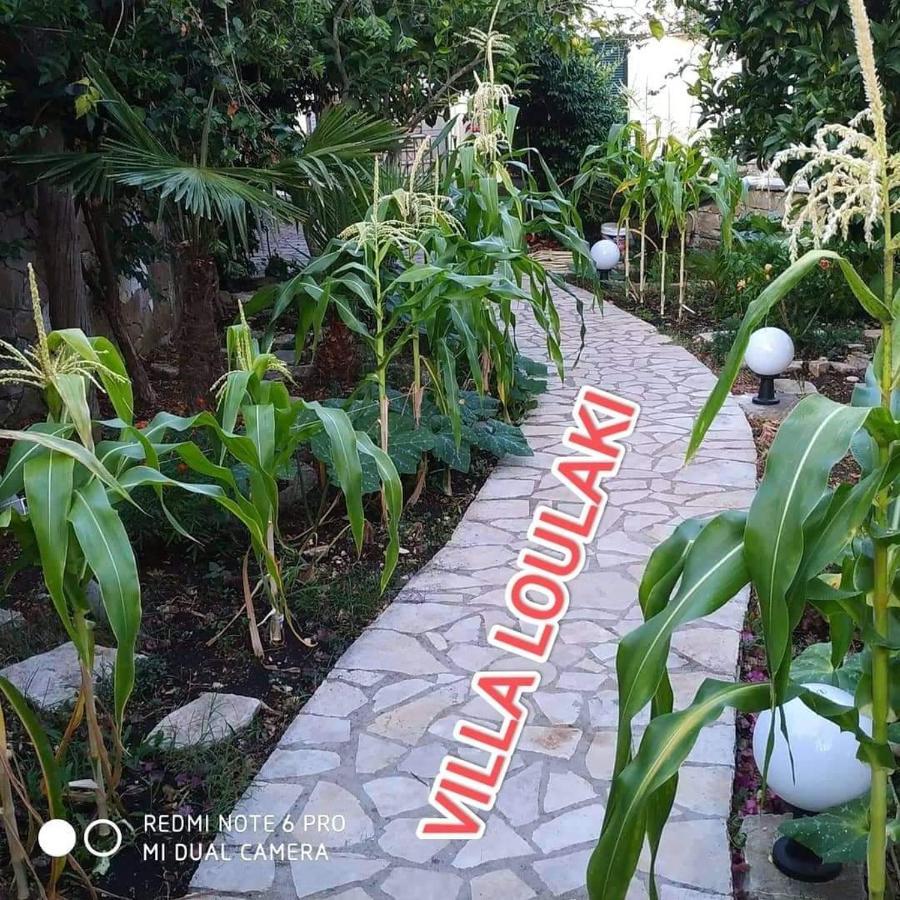 Loulaki Magazia Paxi Apartment *