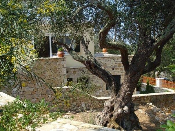 Apartment Loulaki Magazia Paxi Arvanitakeika