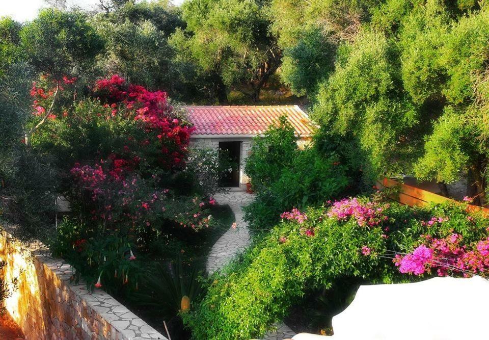 Loulaki Magazia Paxi Apartment *